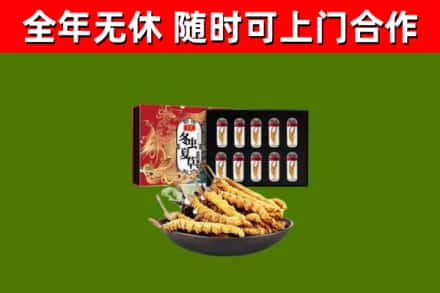 朝阳烟酒回收冬虫夏草礼盒.jpg